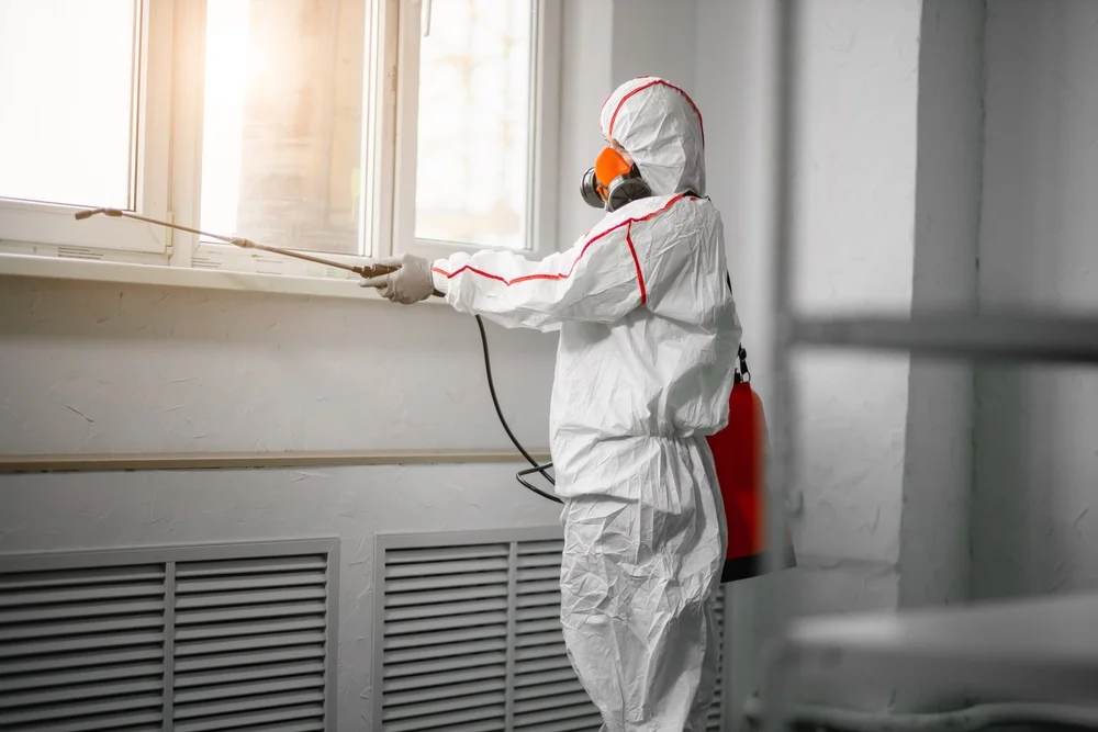 Professional mold remediation services in Columbia, TN